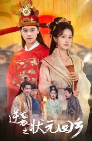 逆袭之状元回乡
