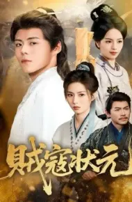 贼寇状元