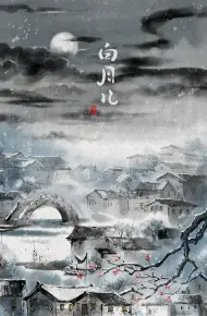 白月儿