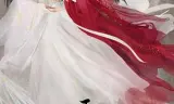 玉骨遥