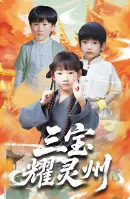 三宝耀灵州