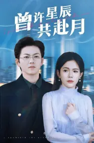 曾许星辰共赴月