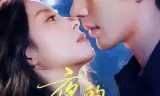 夜的多巴胺