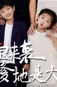 萌宝来袭，爹地是大佬