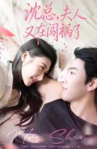 沈总，夫人又在闯祸了