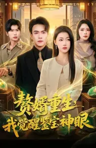 赘婿重生，我觉醒鉴宝神眼