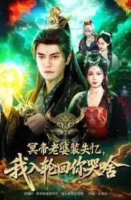 冥帝老婆装失忆，我入轮回你哭啥