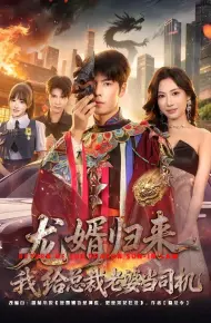 龙婿归来，我给总裁老婆当司机