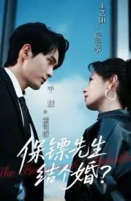 保镖先生,结个婚