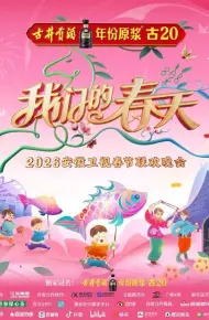 安徽卫视春节联欢晚会2026