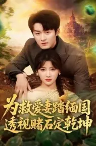 为救爱妻踏缅国透视赌石定乾坤