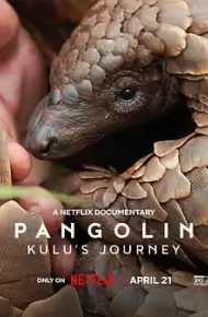 穿山甲Kulu的旅程