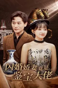 闪婚娇妻竟是鉴宝大佬