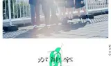 神谷诗子没有参加毕业典礼
