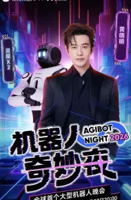 机器人奇妙夜