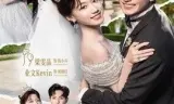 少夫人来自东北2