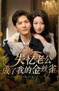 失忆老公成了我的金丝雀