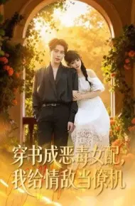 穿书成恶毒女配，我给情敌当僚机