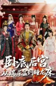 卧底后宫从端尿盆到睡龙床