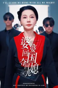 婆婆回国，夺回儿媳
