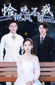 恰似晚风不留我