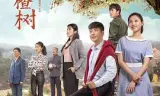 远方的山楂树
