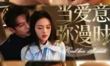 当爱意弥漫时
