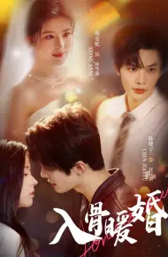 入骨暖婚