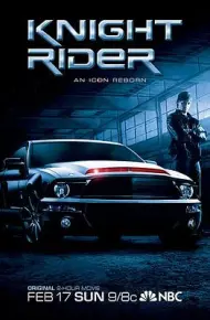 霹雳游侠2008电影版