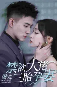 禁欲大佬爆宠三胎孕妻