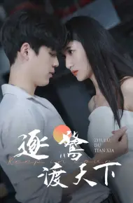 逐鹭渡天下