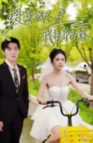 爱意燃尽，我转身高嫁
