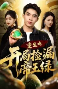 重生之开局捡漏帝王绿
