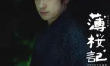 薄樱记