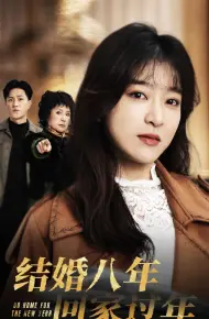 结婚八年回家过年