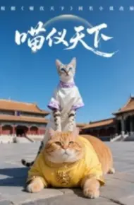 喵仪天下