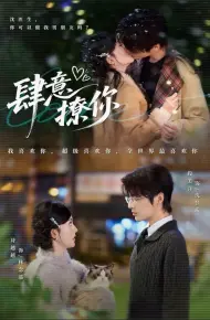 肆意撩你