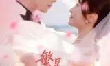繁星坠满糖