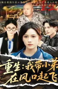 重生我带小弟在风口起飞