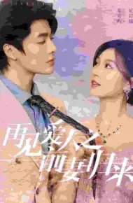 再见爱人之前妻归来