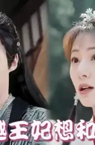 穿越王妃想和离