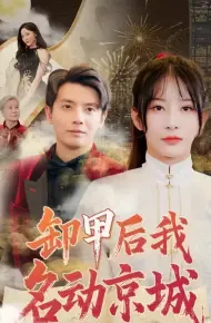 卸甲后我名动京城