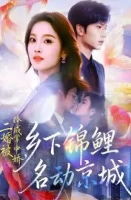 二婚被捧成掌中娇，乡下锦鲤名动京城