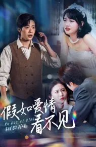 假如爱情看不见