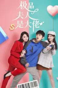 极品夫人是大佬