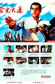 金光大道 (上)
