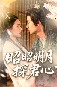 昭昭明月探君心