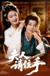 夫人,请住手