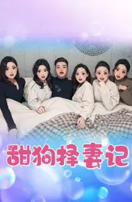 甜狗择妻记