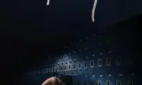 莱利2023